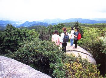 大きな丸い岩のような石に4人の女性が立っていて周りの景色を見ている写真