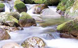 丸い大きな石の間を川の水が流れている様子を写した写真