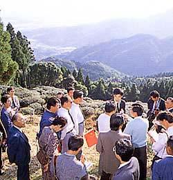 茶畑の前に沢山の中国からの視察団の方々が集まって、中央の男性の話を聞いている写真
