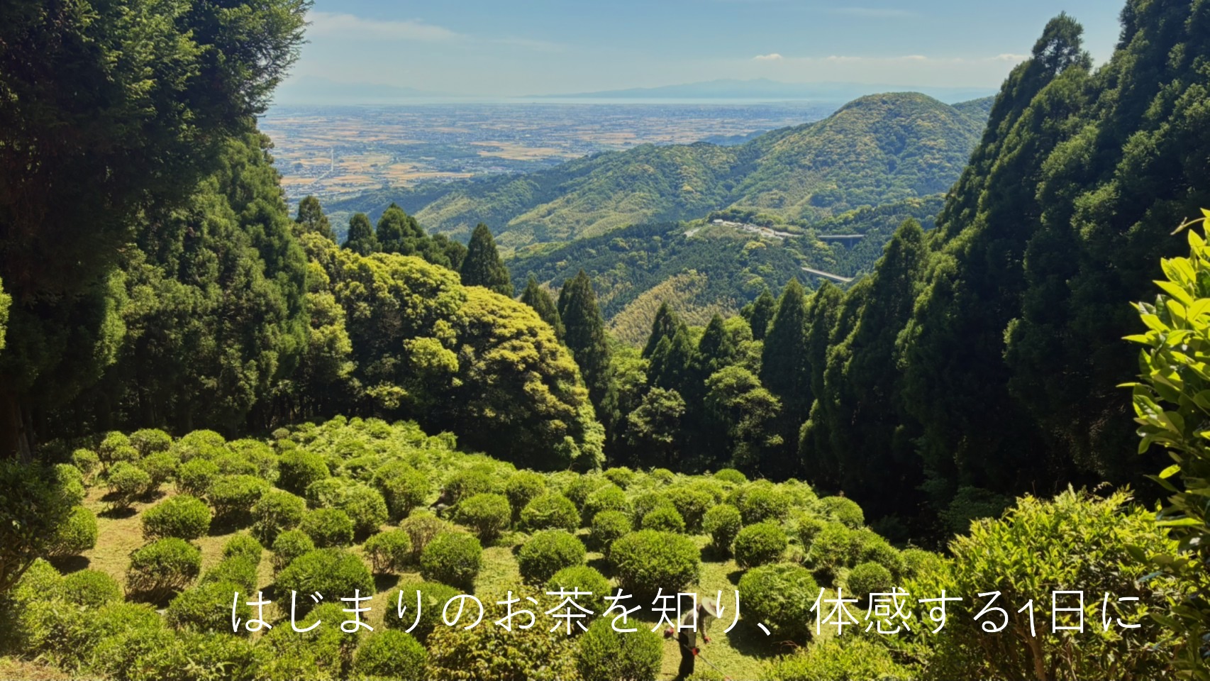 聖茶まつり