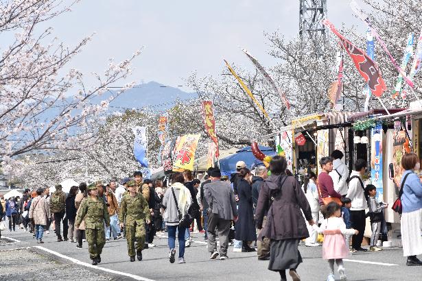 目達原駐屯地の桜の一般開放