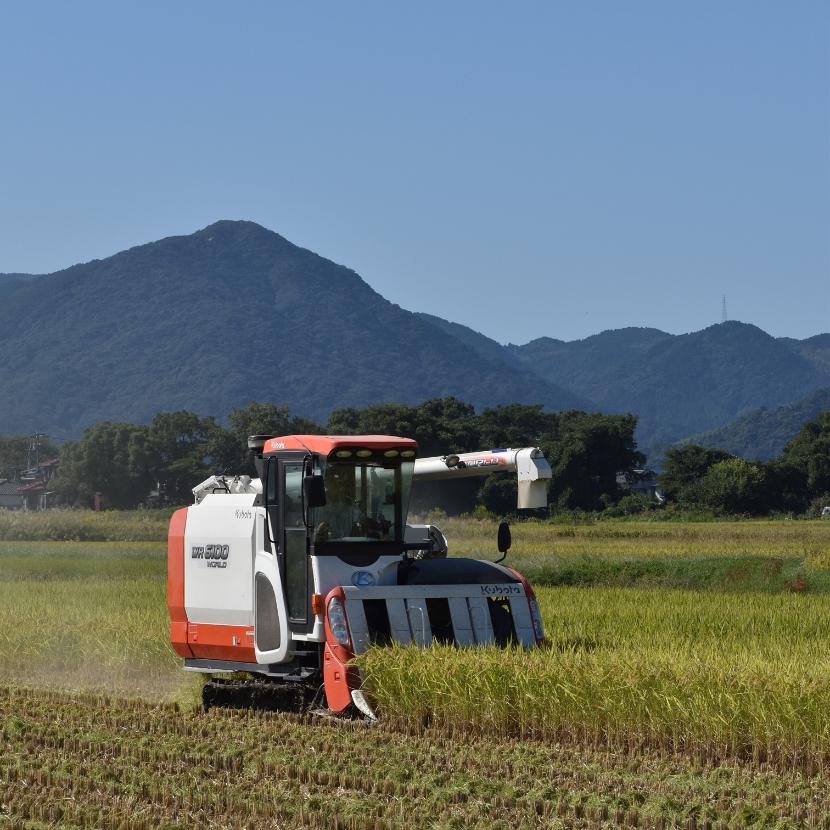 秋を奏でる力強いコンバイン